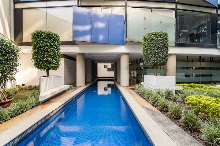 Urban & Cozy in the heart of Condesa gallery image 2