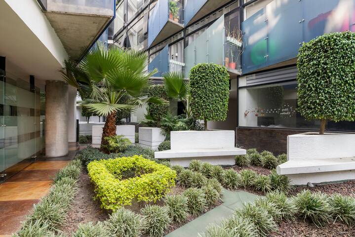 Urban & Cozy in the heart of Condesa gallery image 4