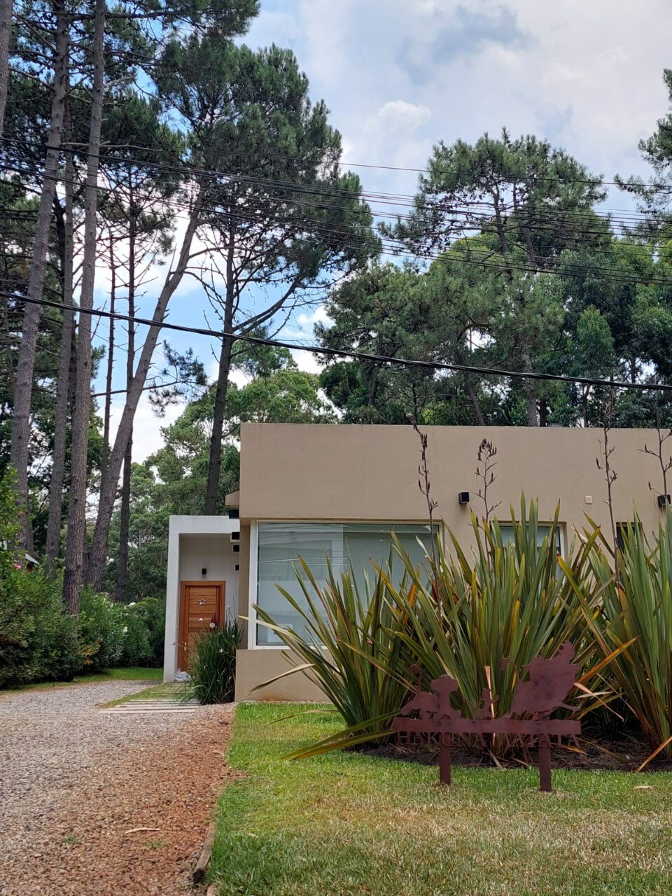 The exterior of a modern house is visible, surrounded by tall trees. A gravel pathway leads to the wooden front door, while large green plants frame the entrance. Natural light filters through the large windows, highlighting the simple architectural design.