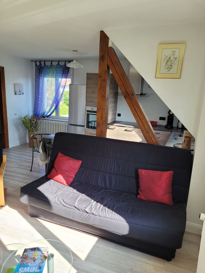 Appartement Dans Maison Individuelle - ibis budget Strasbourg Sud Illkirch