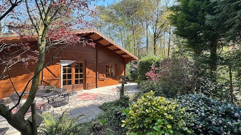 Unique and cozy chalet in the forest near Nijmegen.