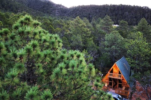 In an alpine-style forest, Alamo Monte Alpino Cabin