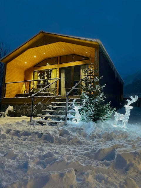 Well equiped villa in Mestia