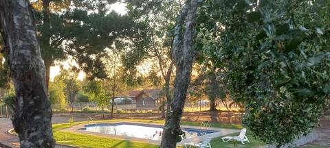 beautiful cabin with pool in quillon