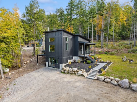 New modern cabin-contemporary design meets nature