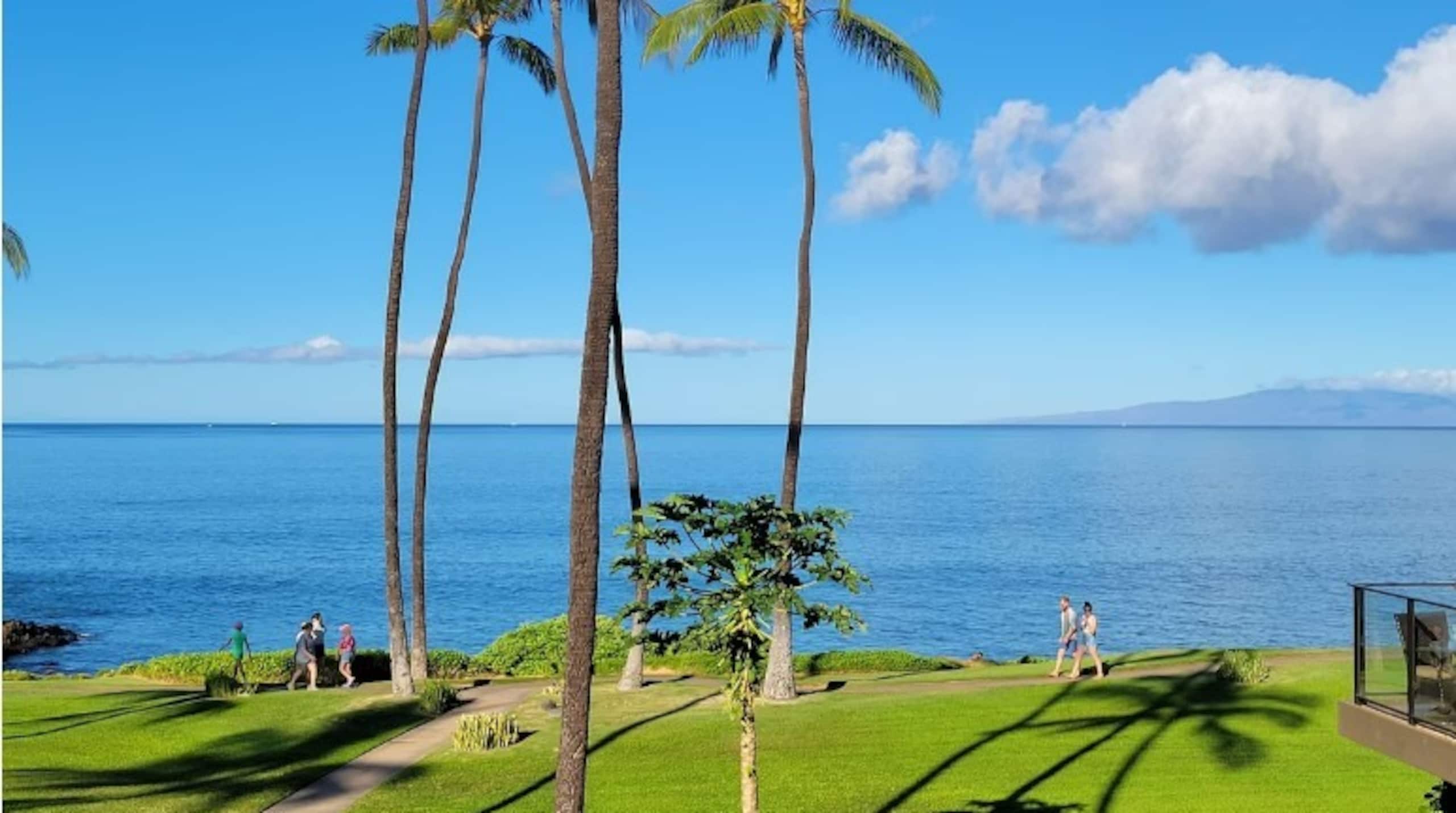 Condo in Wailea · ★5.0 · 1 bedroom · 2 beds · 1 bath - Image 6