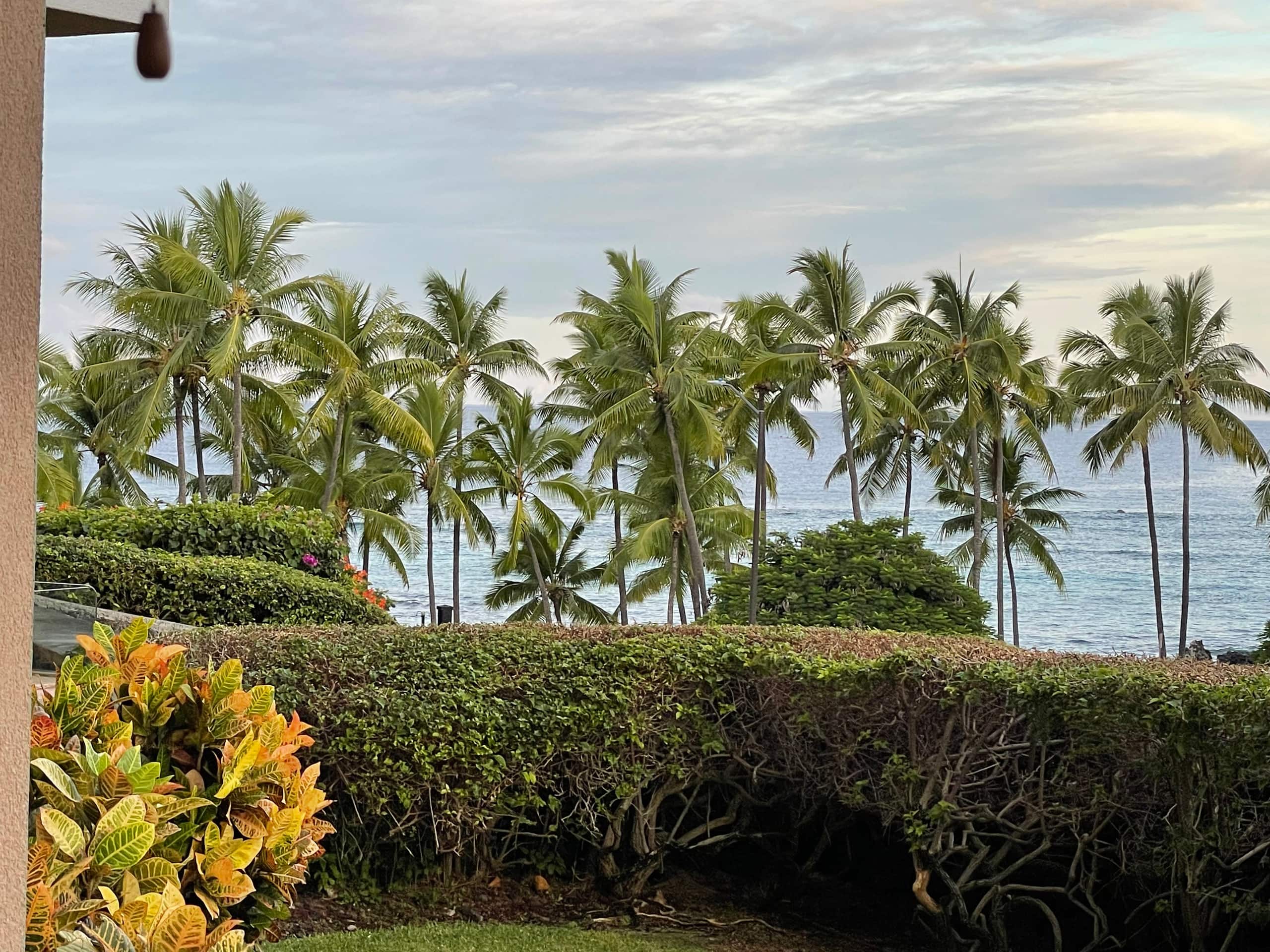 Condo in Kailua-Kona · ★4.78 · 2 bedrooms · 4 beds · 2 private baths - Image 6