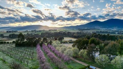 Bale Cottage at Dark Horse Farm
