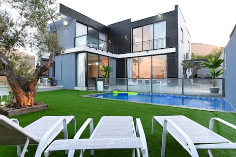 Villa - a stunning villa with a pool and Jacuzzi near the Kinneret
