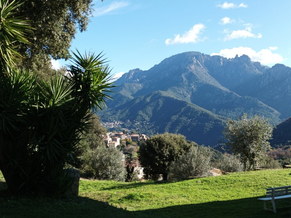 A lush garden area features various plants, including palm trees and olive trees, set against a backdrop of mountains. The clear sky enhances the view of the picturesque landscape, with distant village structures visible among the greenery.