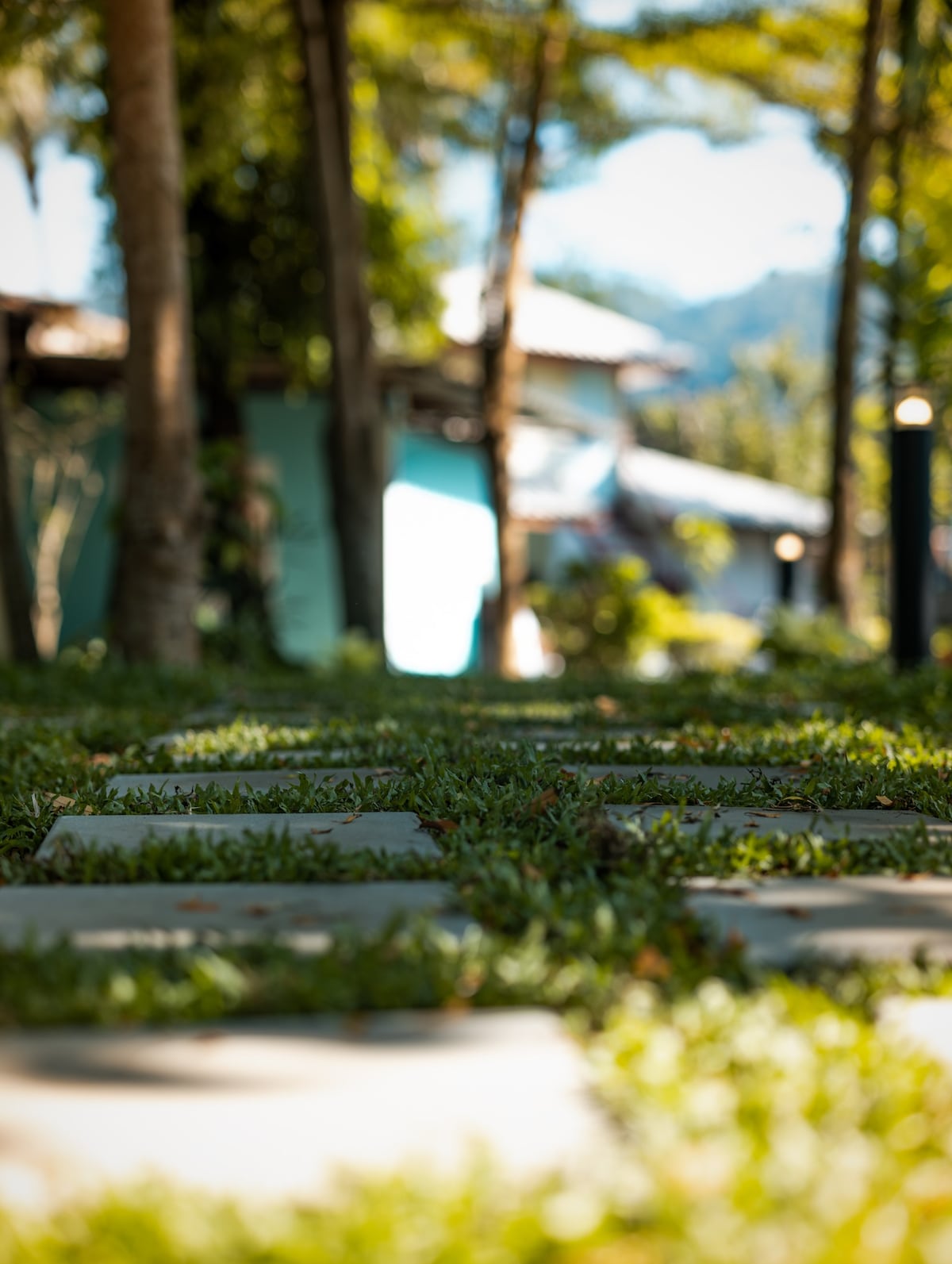 A pathway of stone tiles is visible, bordered by lush green grass. The path leads through a garden setting, with trees casting gentle shadows. In the background, the colorful facade of a bungalow can be seen, surrounded by natural greenery and soft sunlight filtering through the leaves.