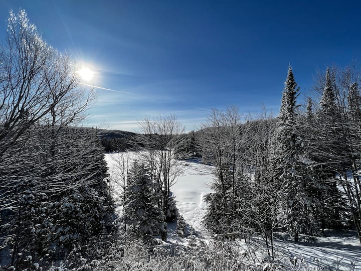 Le Havre des Seasons by the water Houses for Rent in SaintAdolphed