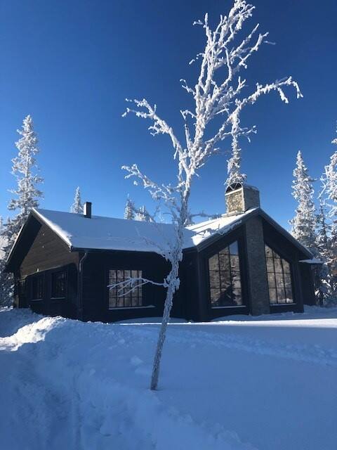Cozy accommodation in Vemdalsskalet