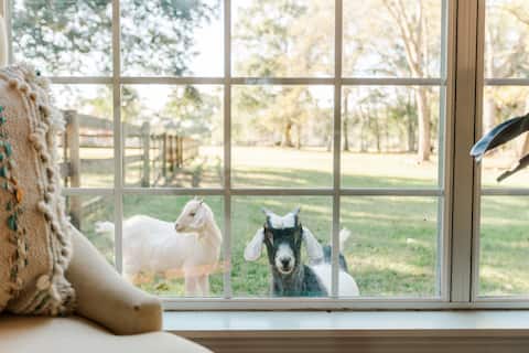 Country Farm Cottage- Goats, Alpacas & Emus