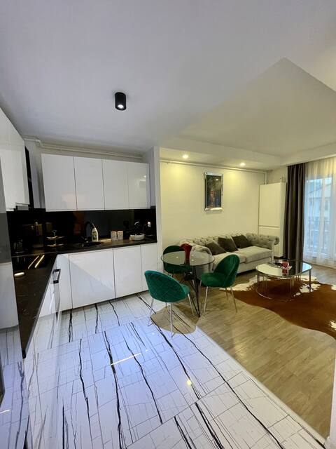 Luxury Apartment Cosmopolis