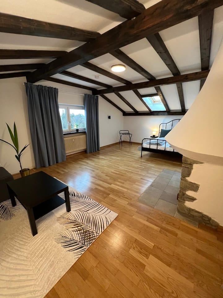 Maisonette Wohnung 220qm In Linz. - Linz