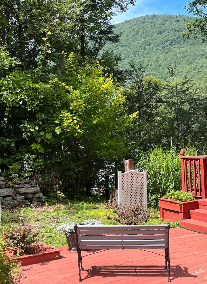 Lush garden path at Serenity Retreat