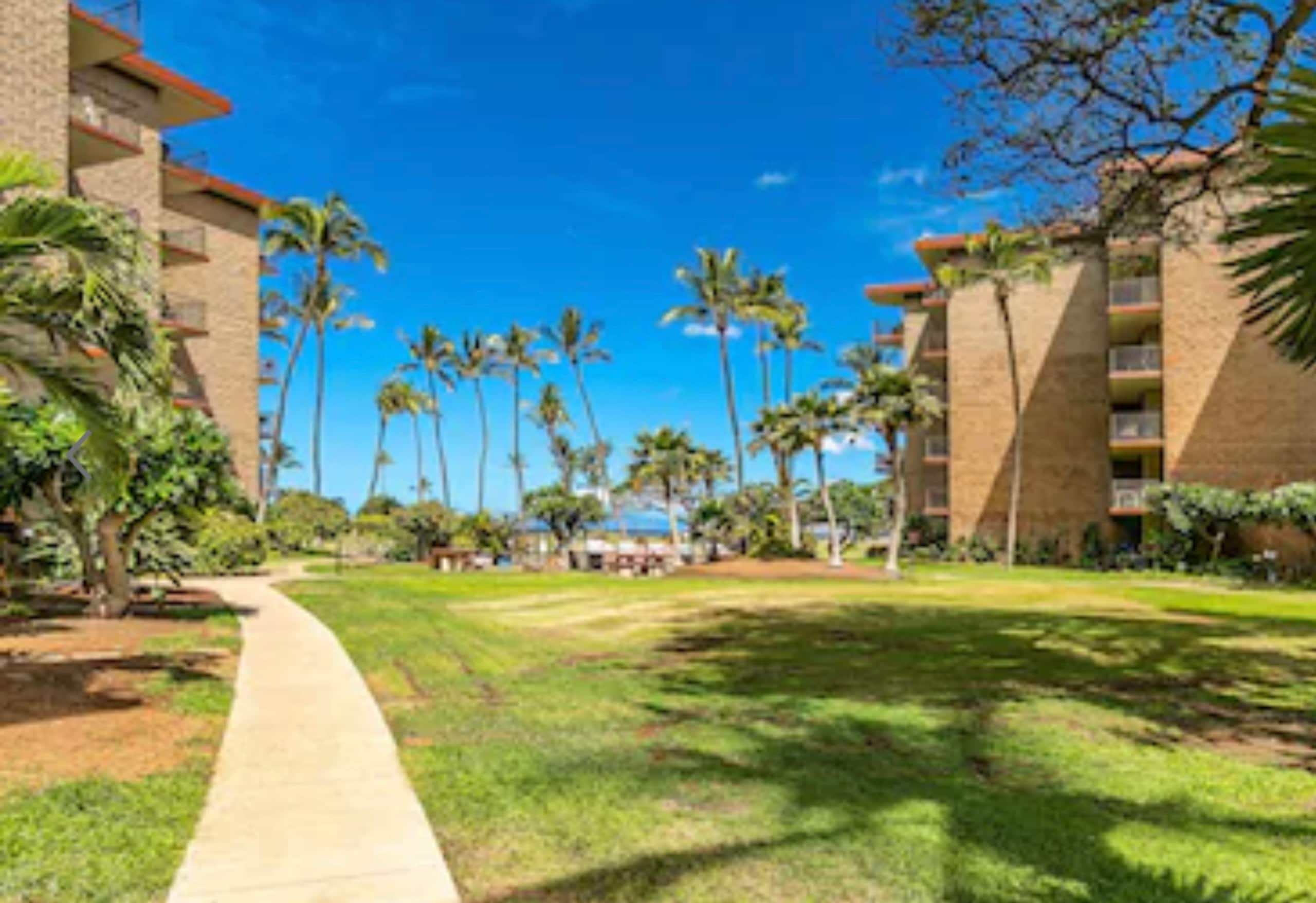 Sunny Kihei, Central AC, WI-FI, Oceanfront, Pool - Image 26