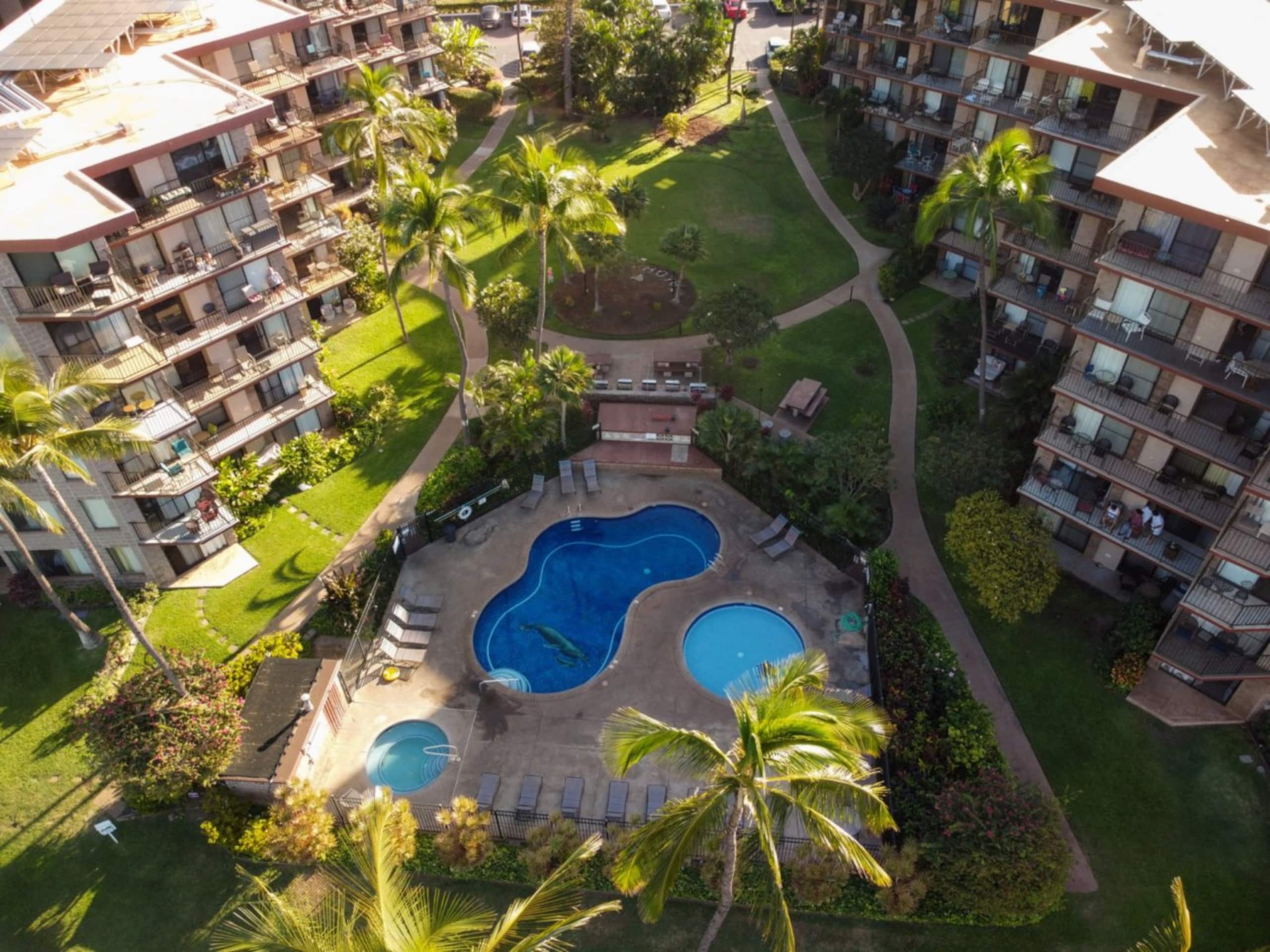 Sunny Kihei, Central AC, WI-FI, Oceanfront, Pool - Image 30