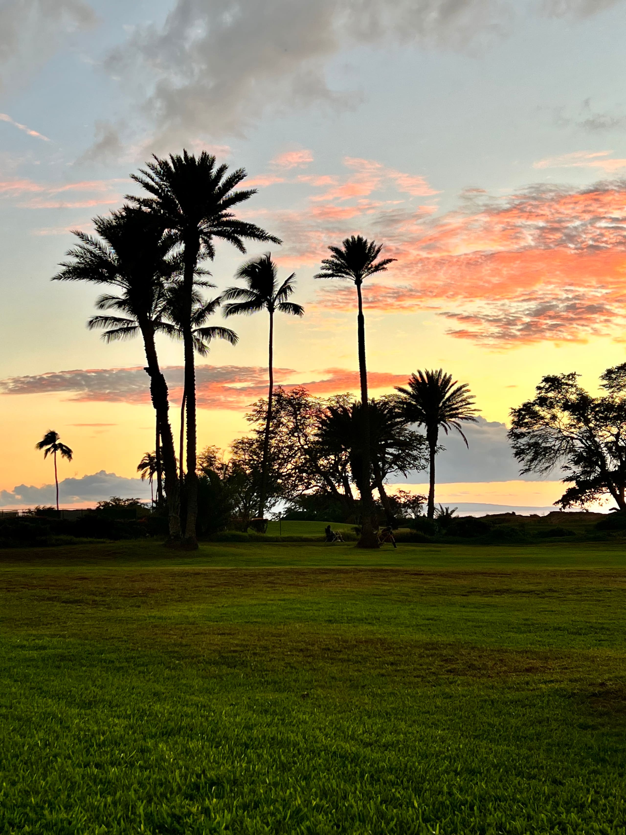 Sunny Kihei, Central AC, WI-FI, Oceanfront, Pool - Image 38