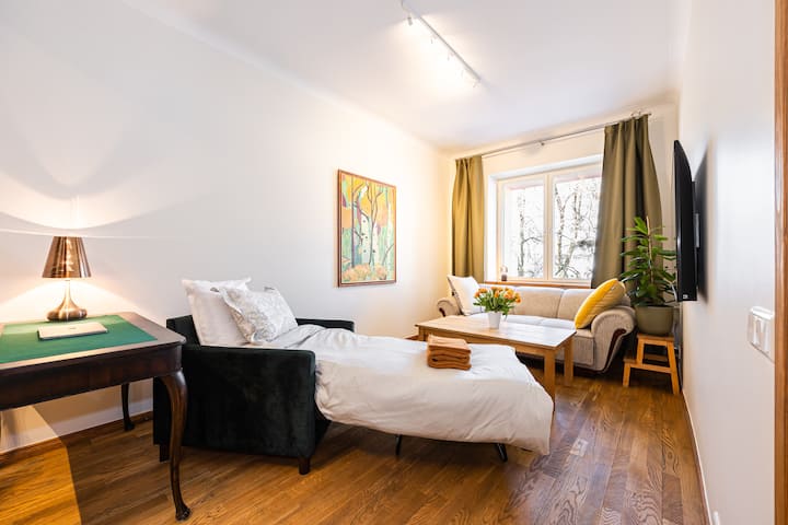 Quiet + Central + Renovated + 10 Min To Old Town - Tallinn
