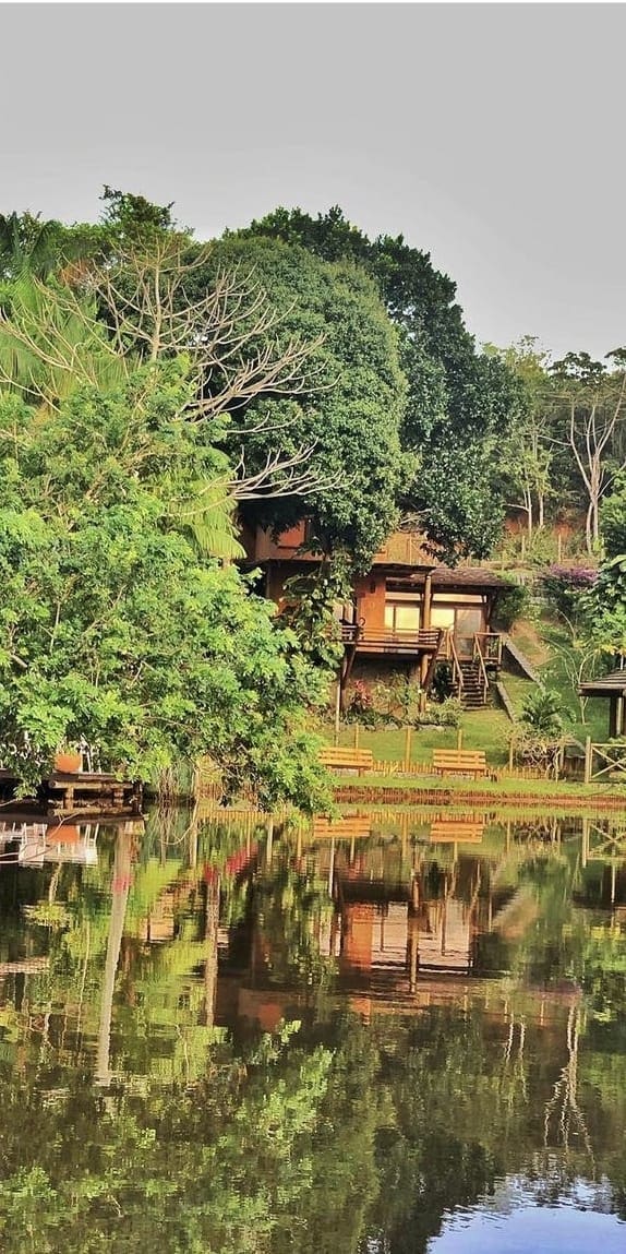 A wooden house nestled among lush trees is reflected in calm waters. The house features large windows and a staircase leading to a balcony. Wooden benches are arranged along the water’s edge, enhancing the serene natural setting.