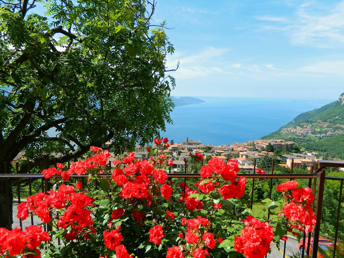 A vibrant terrace view is framed by lush green foliage and blooming red flowers, overlooking the sparkling waters of the lake. The scenic landscape includes distant hills and the charming village below, inviting guests to appreciate the natural beauty of the surroundings.