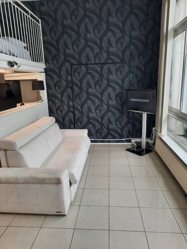 Super Appartement Douillet Dans Maison - Seyssins