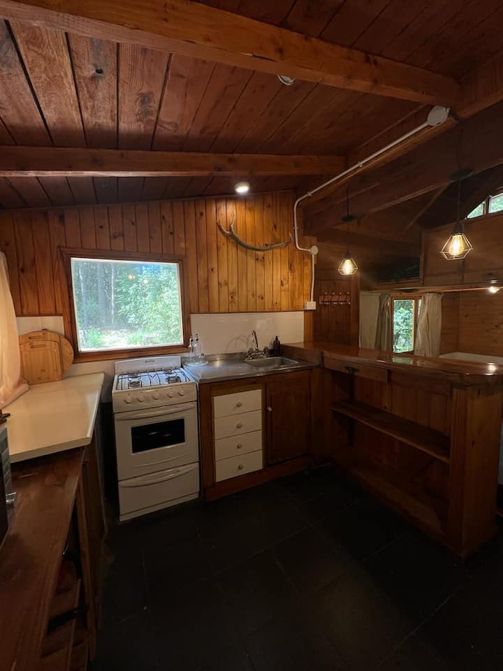 Hermosa Cabaña En Bosque De Coihues - San Carlos de Bariloche