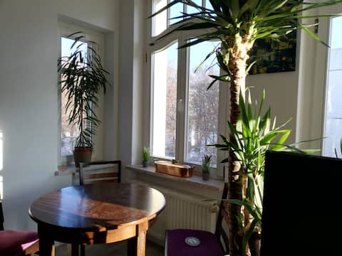Leistungsstarkes Airbnb: Light-flooded 2-room apartment south suburb near alluvial forest in Südvorstadt