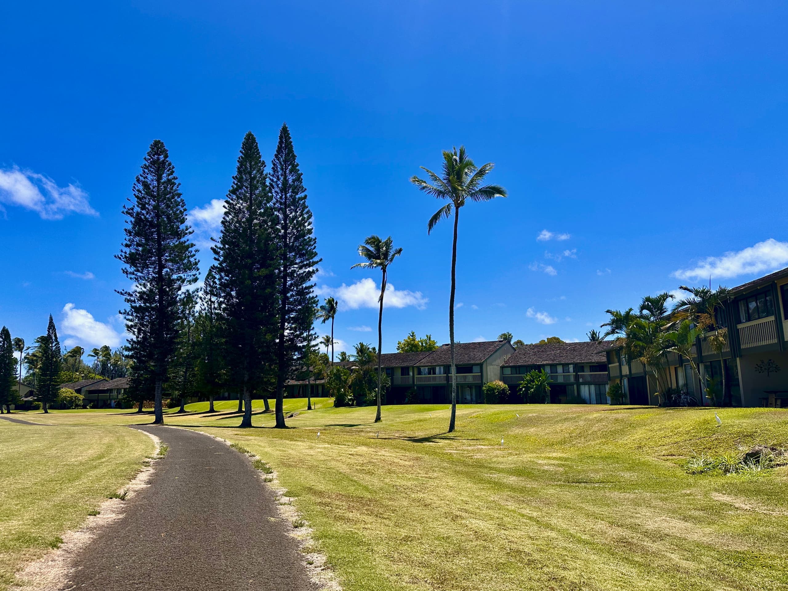 Spacious Condo Paradise - AC, WIFI, New Bathroom ! - Image 18