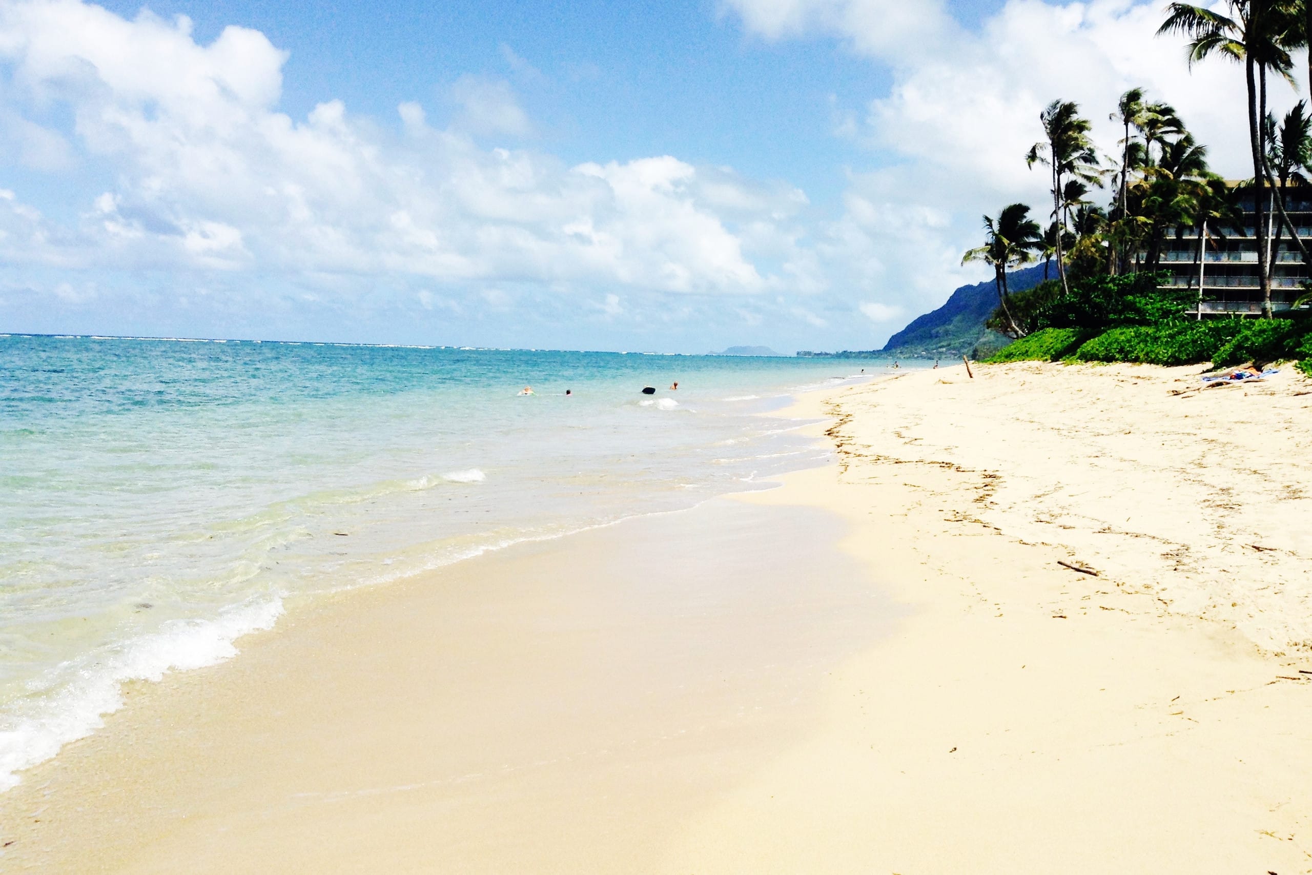 Beautiful Beachfront Family Condo for 4-8 guests - Image 20