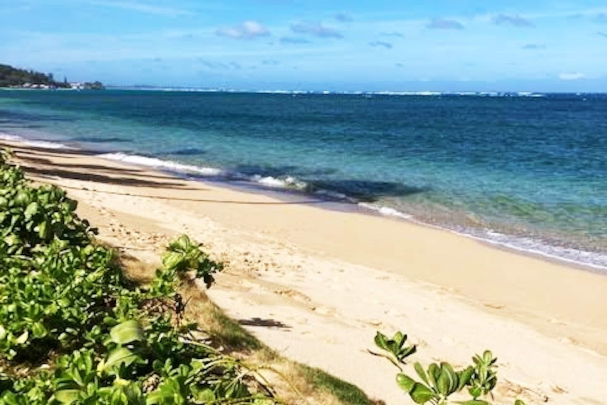 Beautiful Beachfront Family Condo for 4-8 guests - Image 22