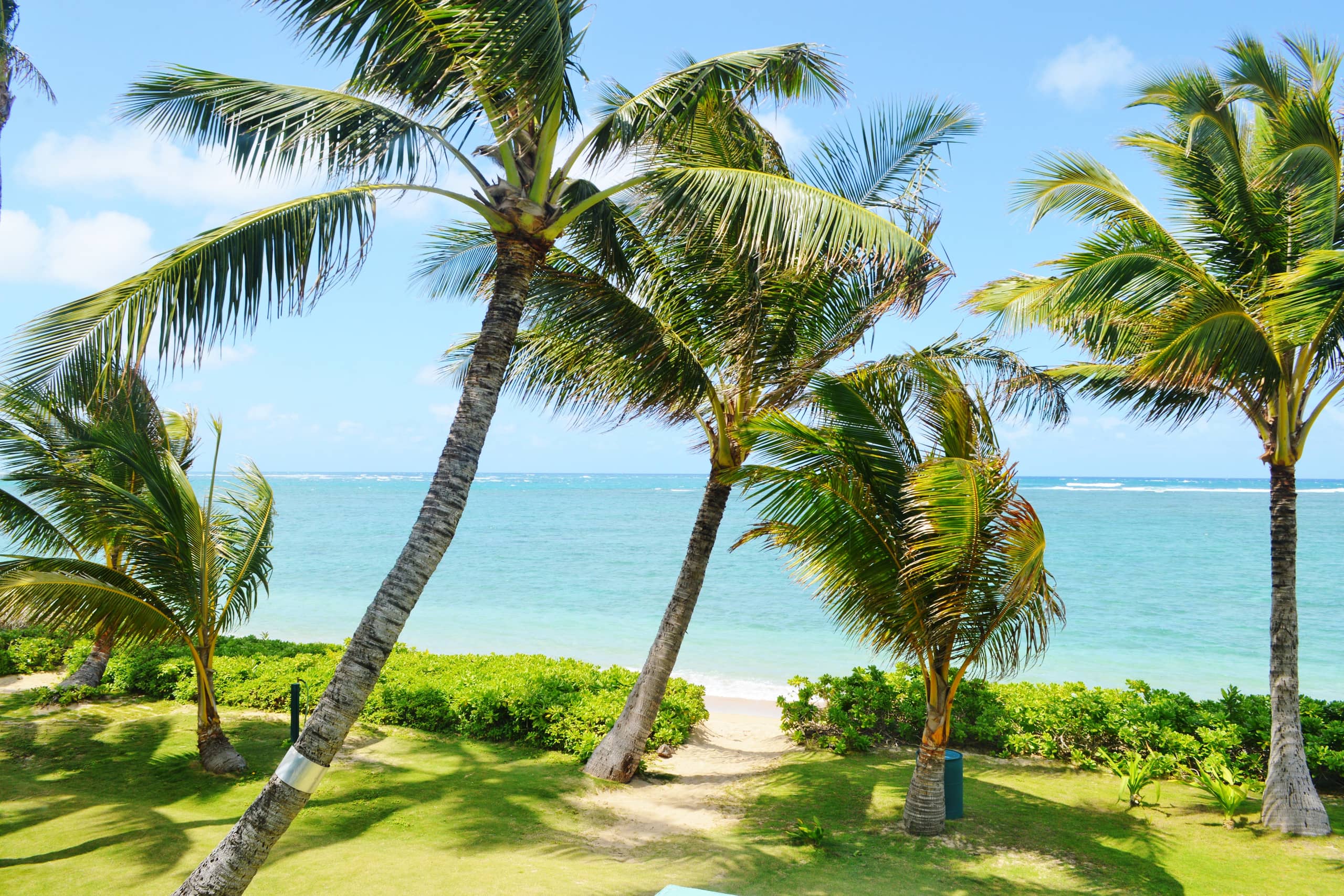 Beautiful Beachfront Family Condo for 4-8 guests - Image 23