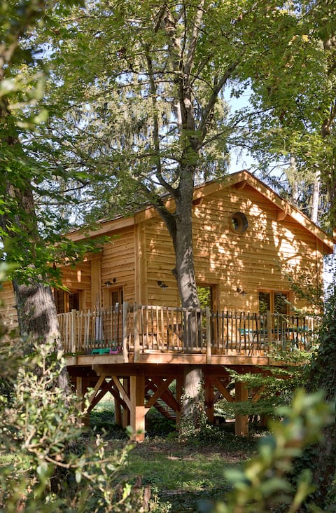 Le Monde de Charlie - The Chiang Mai Cabin