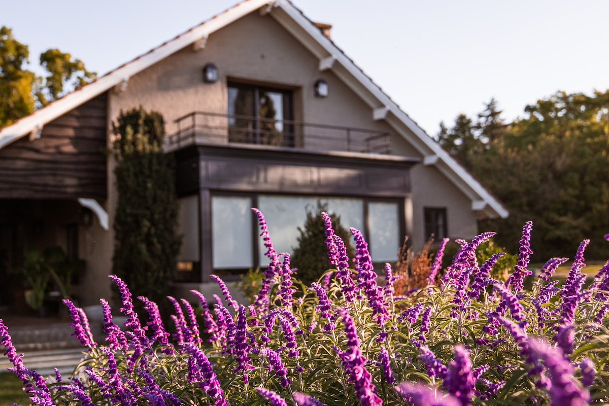 A charming European-style house is shown with a balcony and large windows. Surrounding the home, vibrant purple flowers are in full bloom, enhancing the natural scenery. The greenery of the landscape is subtly visible in the background, contributing to a serene environment.