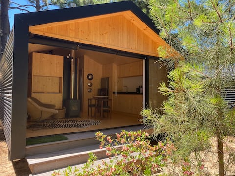 Popular Airbnb listing: Forest and beach in Chihuahua