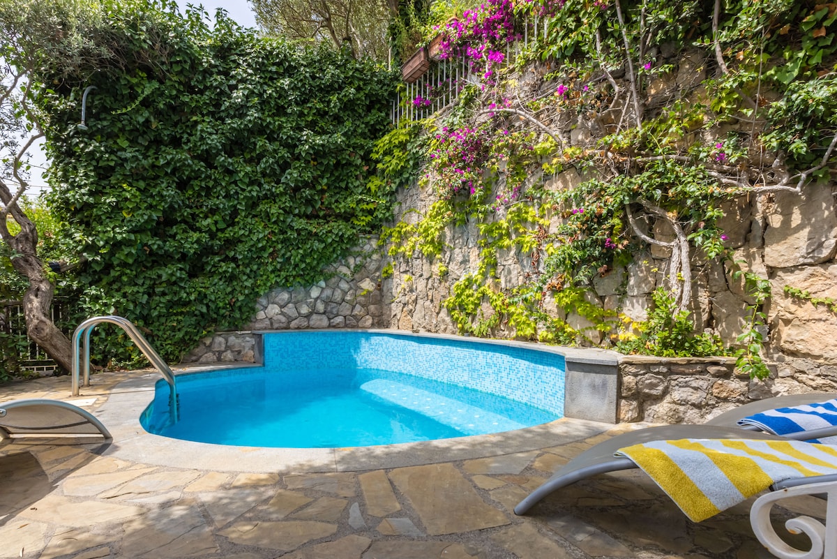 A private pool is surrounded by lush greenery, featuring vibrant flowering plants cascading over a stone wall. The pool area is accented by a stone deck and lounge chairs, inviting relaxation under the warm sun.