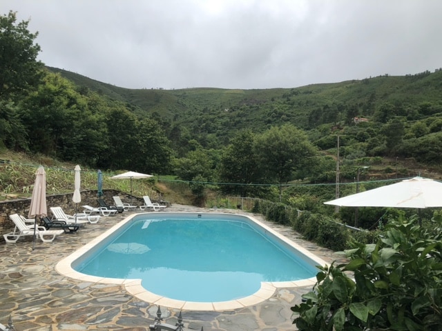 A serene swimming pool is surrounded by lush greenery and natural stone pathways. Comfortable lounge chairs are arranged around the pool, with an umbrella providing shade. The distant mountains create a peaceful backdrop under a cloudy sky.
