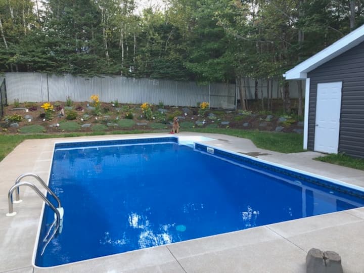 Stunning Salt Water Pool Cow Bay Houses for Rent in Cow Bay, Nova