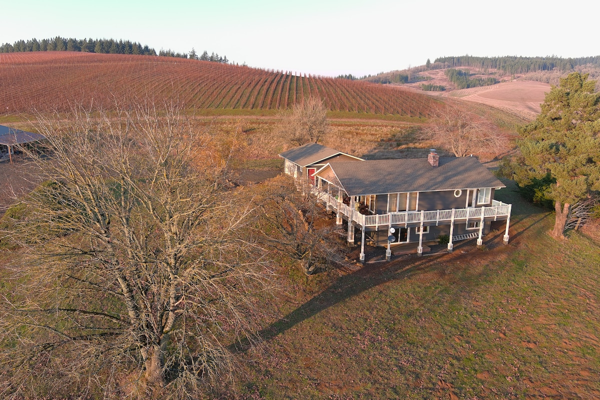 An aerial view captures a spacious farmhouse surrounded by rolling vineyards. The structure features a large covered porch and is set against a backdrop of hills covered in neatly arranged grapevines, emphasizing the serene rural landscape.