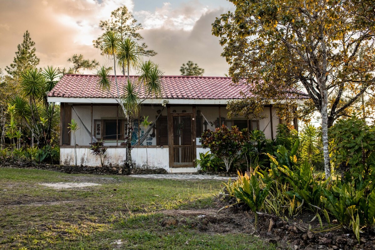 A charming lodge is set against a backdrop of tropical greenery, featuring a tiled roof and wooden door. Surrounding flora, including palm and flowering plants, enhances the serene landscape. Soft natural light casts a warm glow over the rustic facade.
