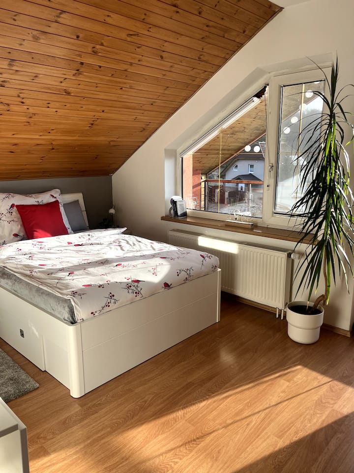 Podkrovní apartmán s balkónem Houses for Rent in Ostrava
