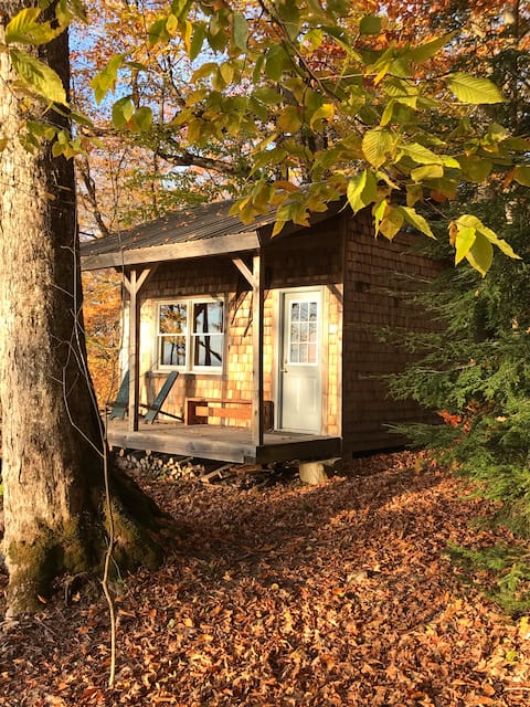 The Cabin