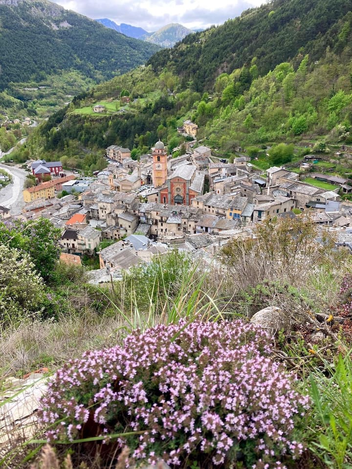 Image 1