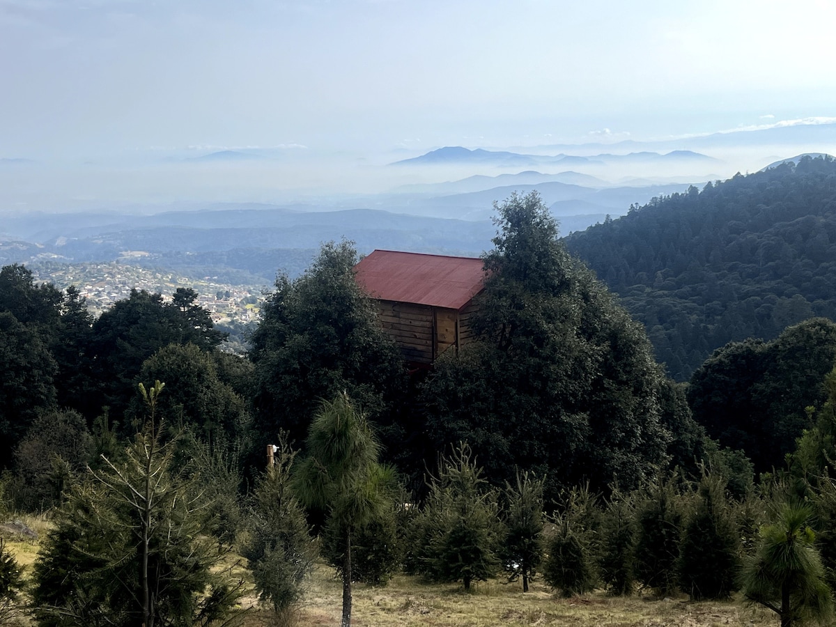 A treehouse is perched among tall green trees, with its wooden structure and red roof contrasting against the natural surroundings. Rolling hills and a distant mountain range are visible in the background, enveloped in a soft mist, providing a serene and peaceful landscape.