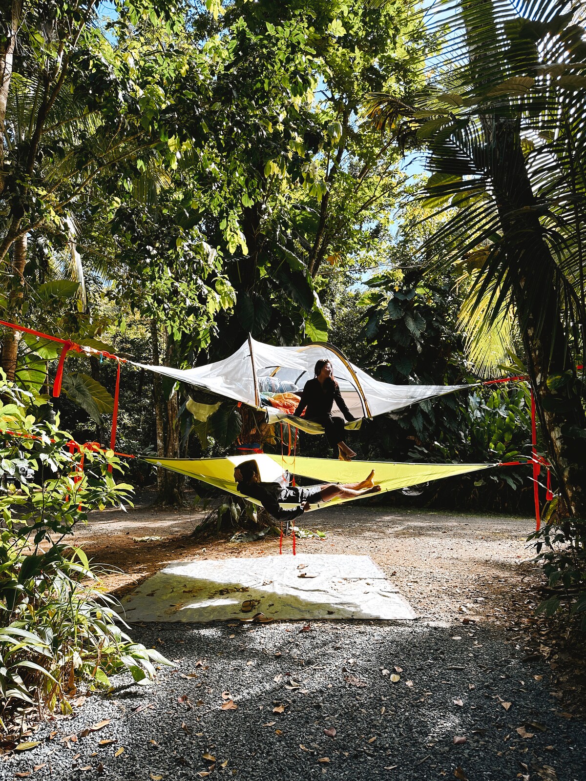 Two hammocks are suspended between trees in a lush forest setting, surrounded by vibrant greenery. A white tarp is positioned above for shade, providing a cozy hangout space. The ground is lightly covered with gravel, enhancing the natural atmosphere.