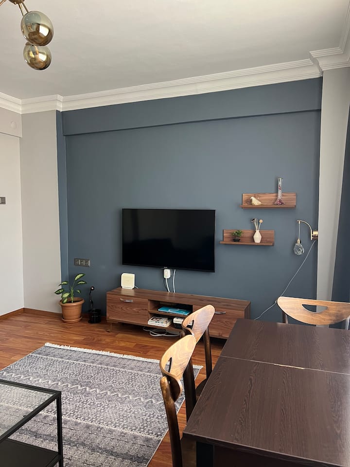 Fully furnished apartment close to Istiklal and Galata Apartments for Rent in Beyoğlu