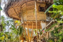 Bamboo Moon in Caraga, PH