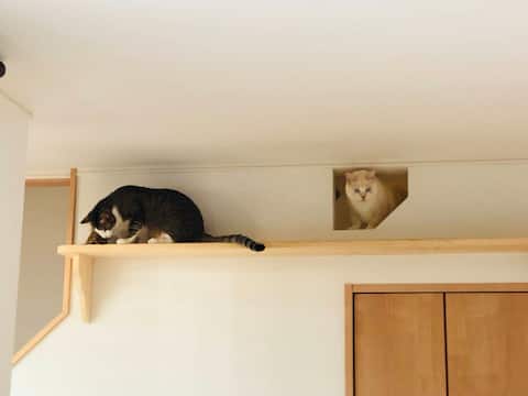 Whole house charter without meals